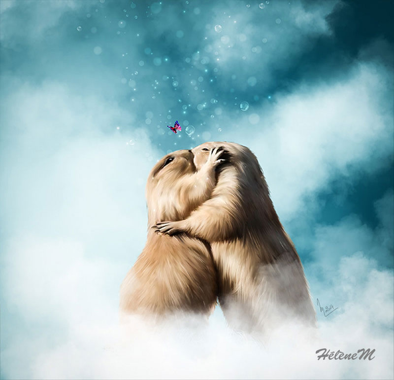 Love story marmottes - HélèneM