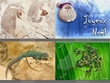 Mes montages d'images