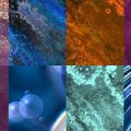 Motifs variés - Absolut (02)
