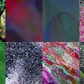 Motifs du site Absolut (10)