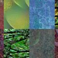 Motifs du site Absolut (17)