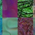 Motifs du site Absolut (18)