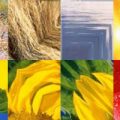 Motifs Abstrait (17)