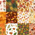 Motifs Automne (1)