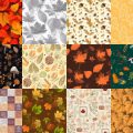 Motifs Automne (2)