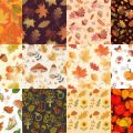 Motifs Automne (4)