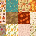 Motifs Automne (6)