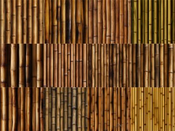 Motifs Bambou (1)