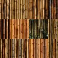 Motifs Bambou (2)