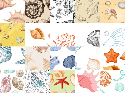 Motifs Coquillages (1)