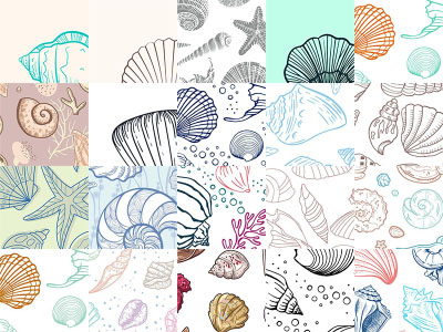 Motifs Coquillages (2)