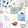 Motifs Coquillages (3)