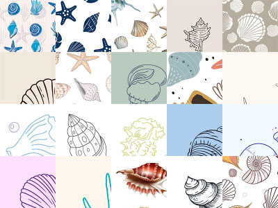 Motifs Coquillages (3)