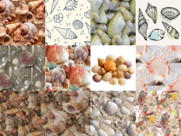Motifs : Coquillages (5) Motifs Coquillages (5)