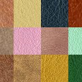 Motifs Cuir (2)