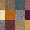 Motifs Cuir (3)