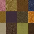 Motifs Cuir (10)