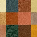 Motifs Cuir (9)