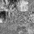 Motifs Cuir NB (1)