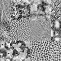 Motifs Cuir NB (6)