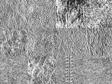 Motifs : Cuir NB (9) Motifs Cuir NB (9)