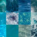 Motifs Eau (4)