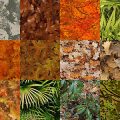 Motifs Feuilles (1)