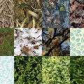Motifs Feuilles (3)