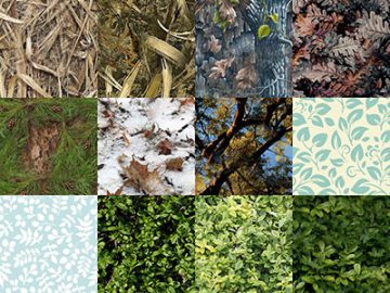 Motifs Feuilles (3)