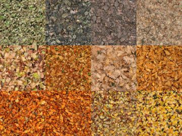 Motifs Feuilles (5)