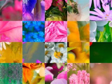 Motifs Fleurs (22) Motifs Fleurs (22)