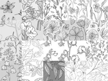 Motifs Fleurs (25) Motifs Fleurs (25)