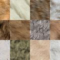 Motifs Fourrure (1)
