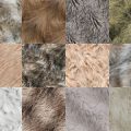 Motifs Fourrure (3)