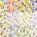 Motifs Fruits (2)