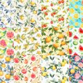 Motifs Fruits (3)
