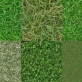 Motifs Herbe (01)