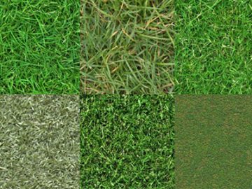 Motifs : Herbe (1) Motifs Herbe (01)