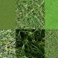 Motifs Herbe (02)