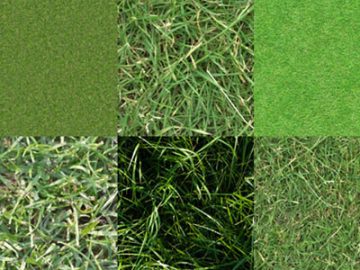 Motifs : Herbe (2) Motifs Herbe (02)