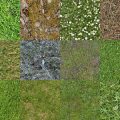 Motifs Herbe (5)