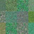 Motifs Herbe (6)
