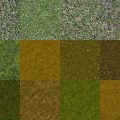 Motifs Herbe (7)