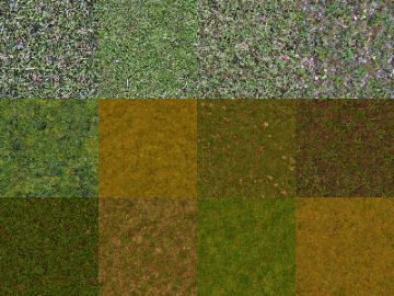 Motifs Herbe (7)
