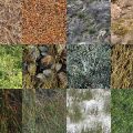 Motifs Herbe (9)