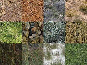 Motifs Herbe (9)