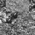 Motifs Papier argent (2)