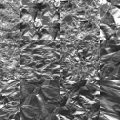 Motifs Papier argent (3)