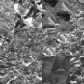 Motifs Papier argent (4)
