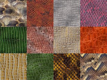 Motifs Peau de serpent (3)